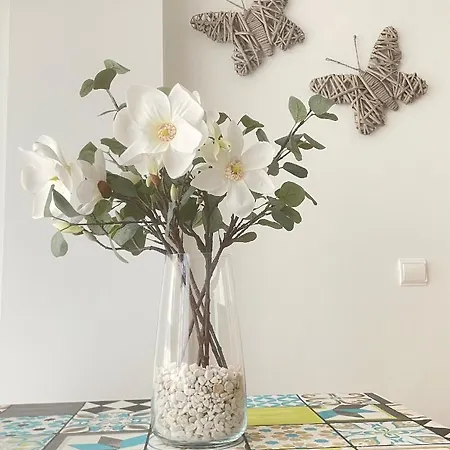 Διαμέρισμα Apartamento Pinares Σορία